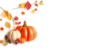 Autumn Pumpkin Vegetable Harvest