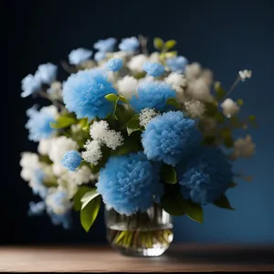 Spring hydrangea blossom on woody branch in garden