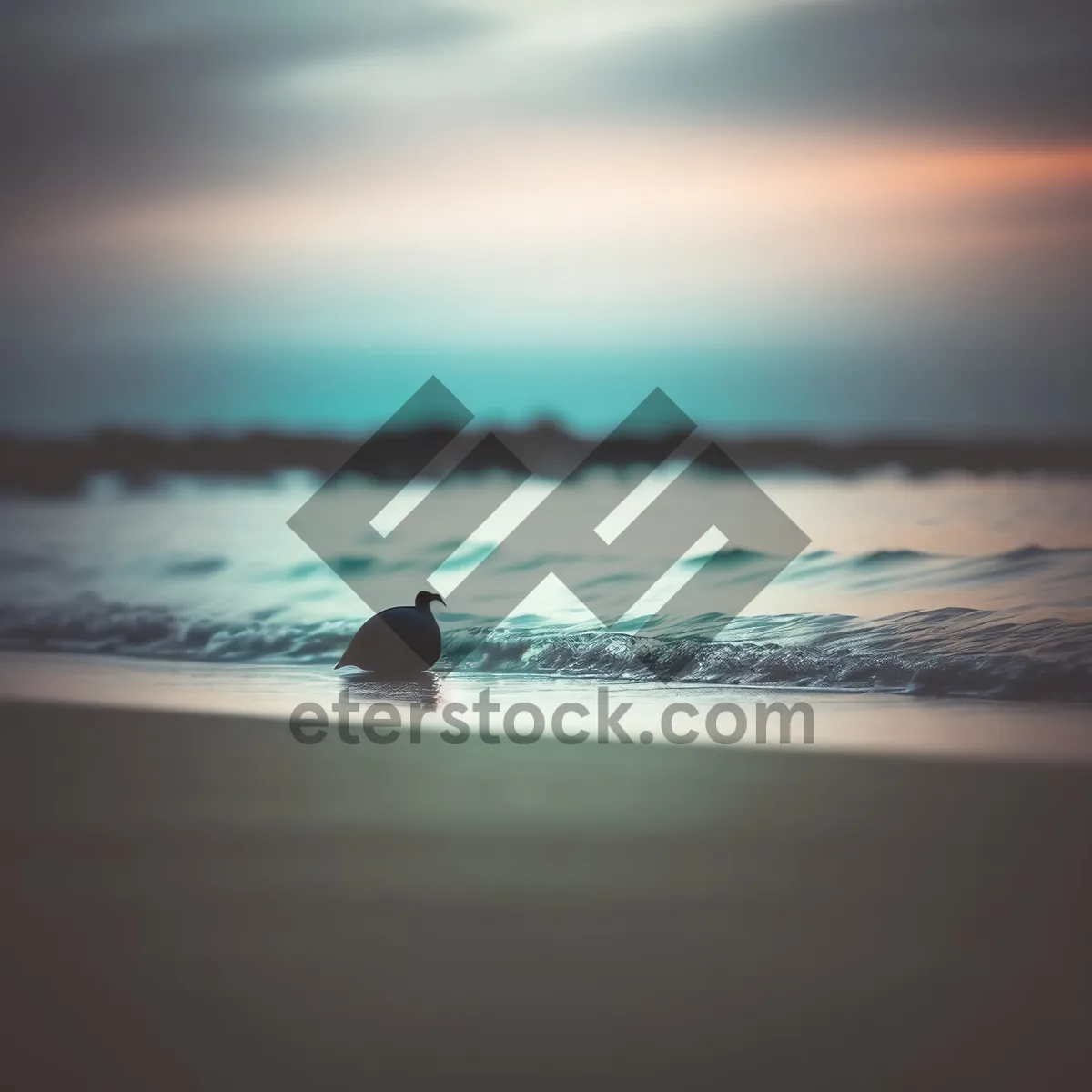 Picture of Golden Horizon: Serene Sunset over Beach