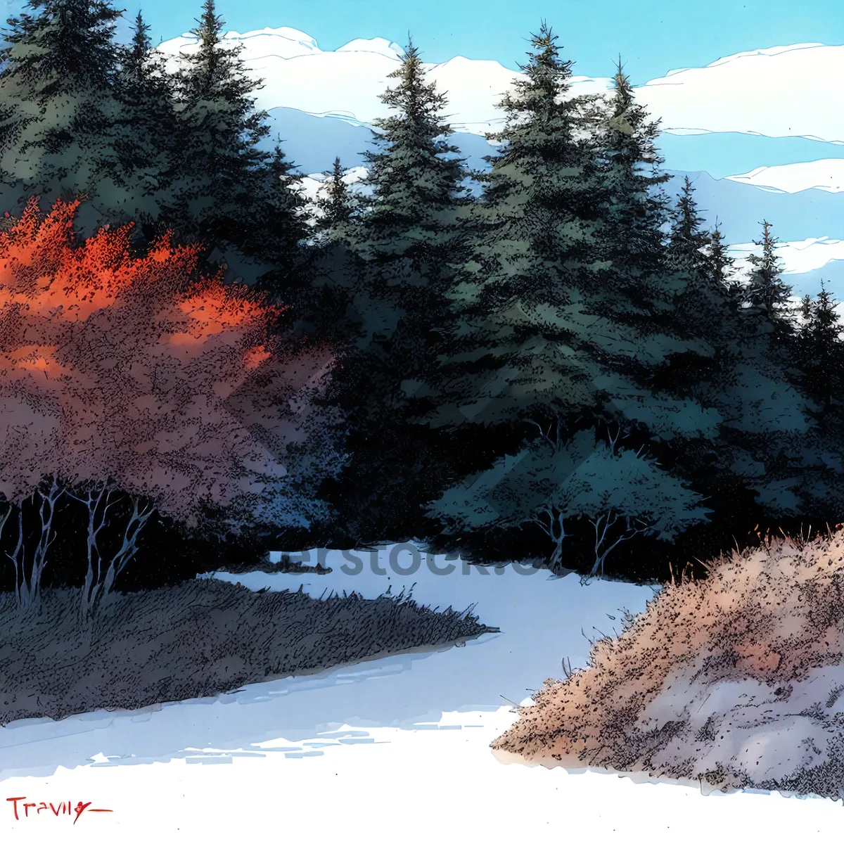 Picture of Snowy Pine Branch in Frozen Park