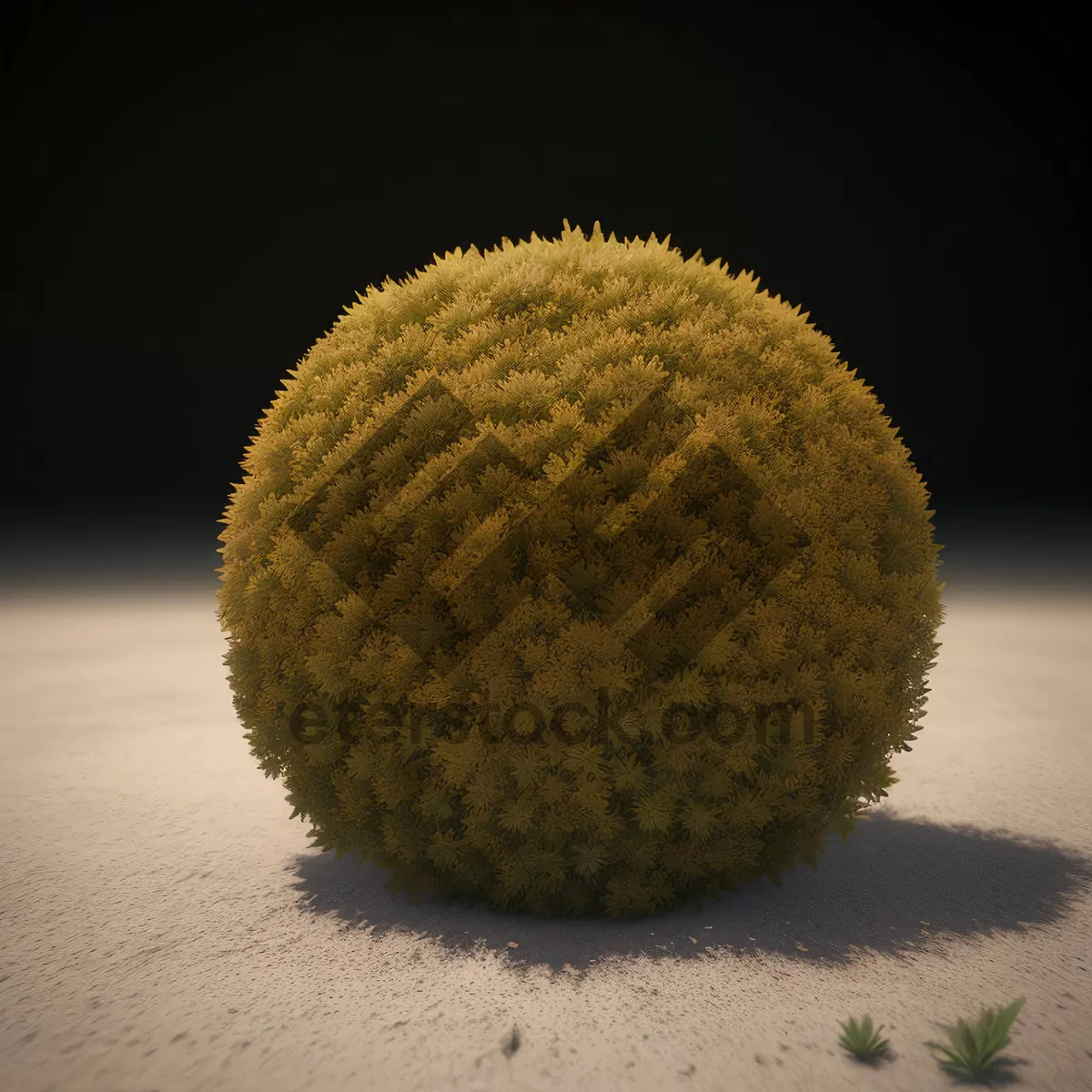 Picture of Fresh Tennis Ball with Edible Sea Urchin Twist