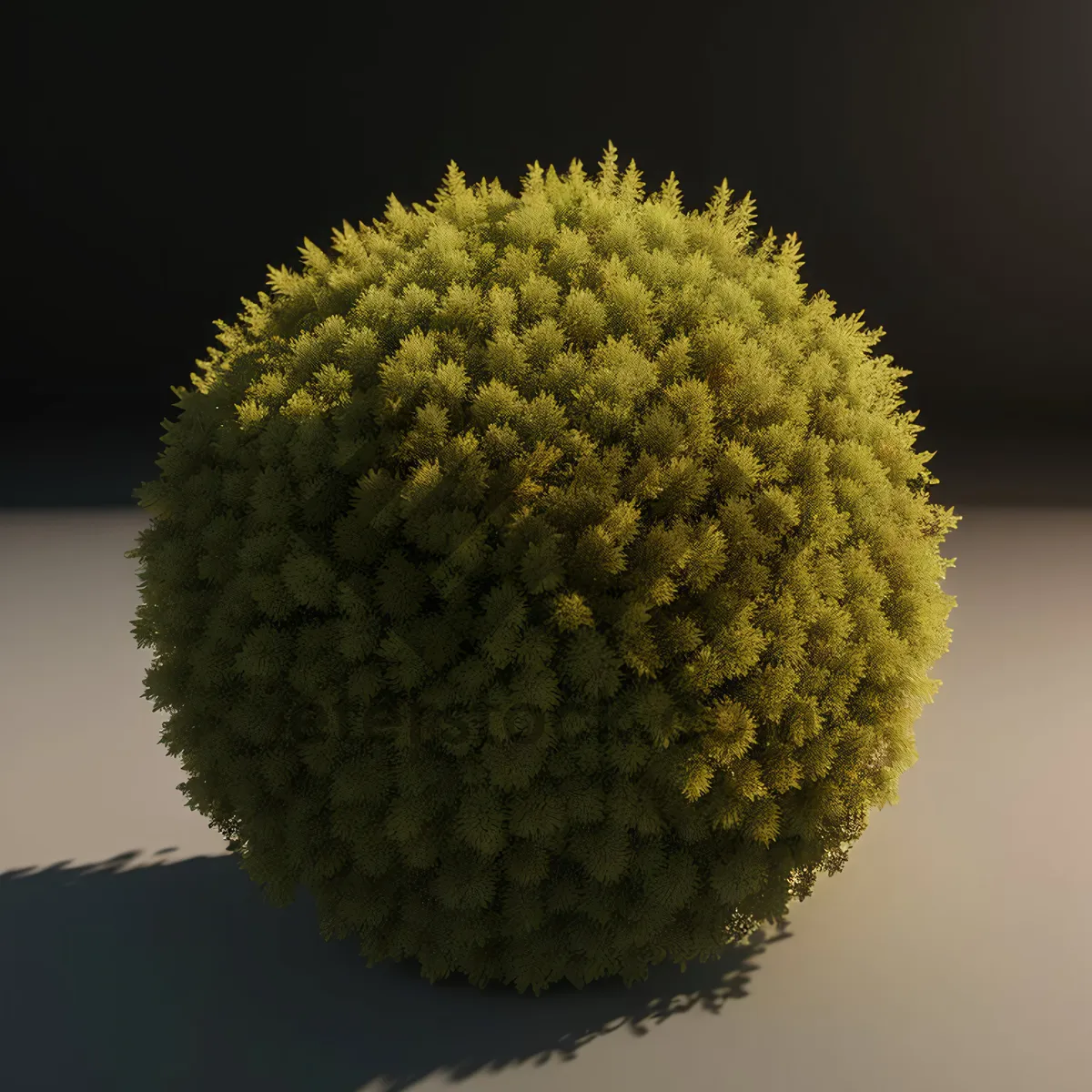 Picture of Closeup of Litchi Fruit on Golf Ball