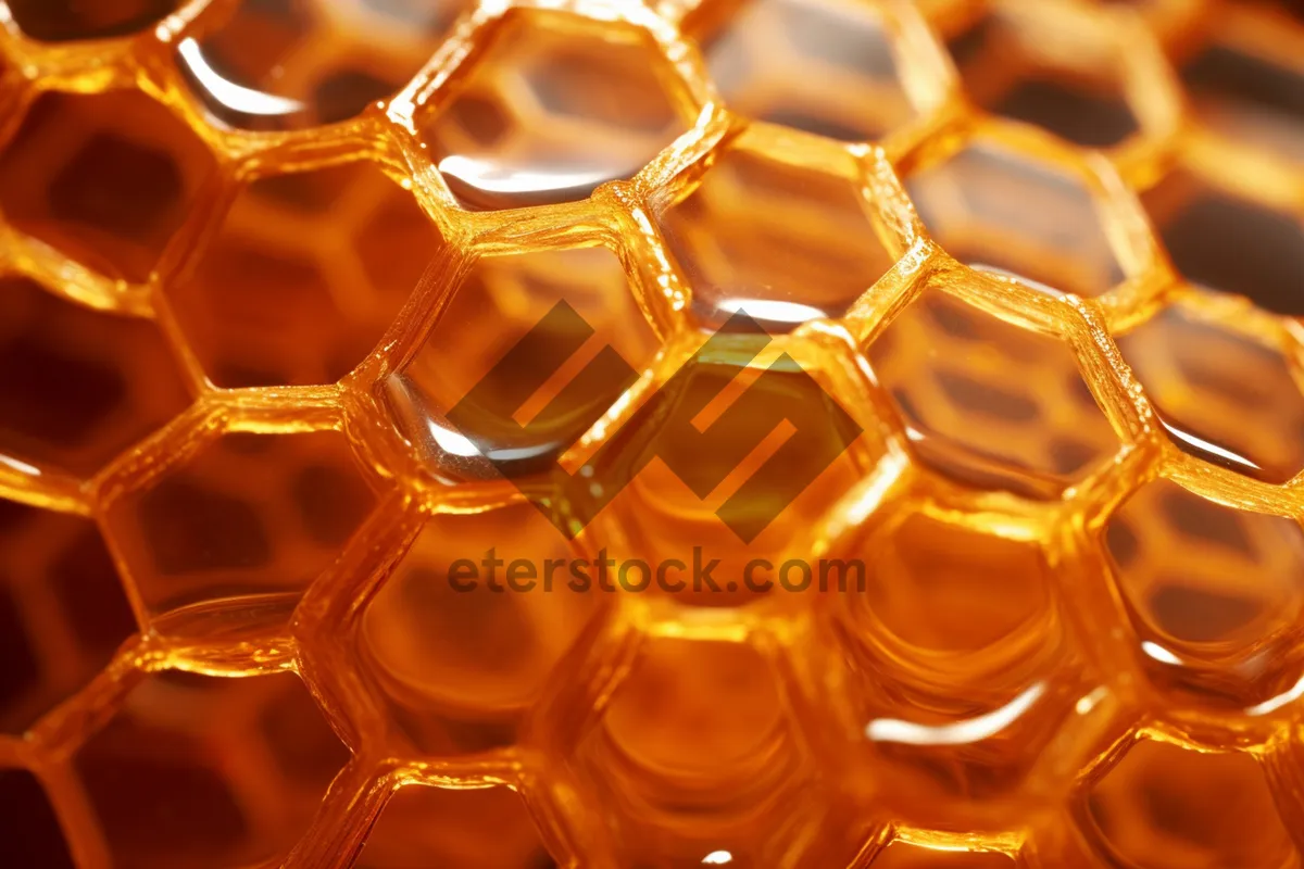 Picture of Golden Honeycomb Light Structure Art Design