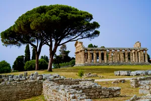 Ancient Ruins in Historical City Grow by Time