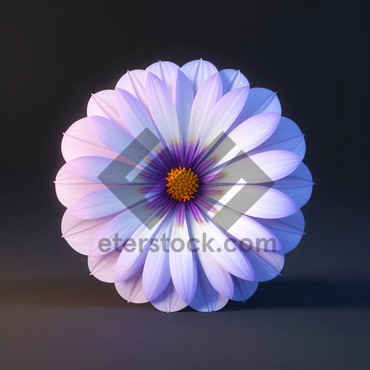 Picture of Vibrant Yellow Daisy Blossom in Bloom