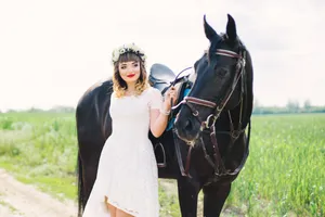 Brown horse portrait in equestrian costume outdoors