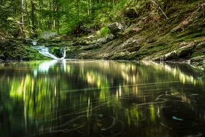 Tranquil Summer Landscape with Reflecting Trees