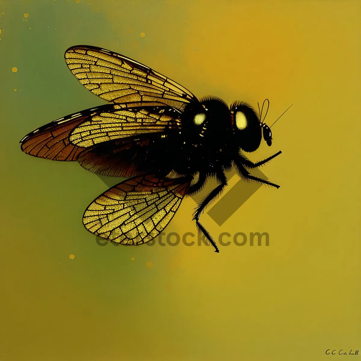 Picture of Colorful Flying Insect on Flower Petals