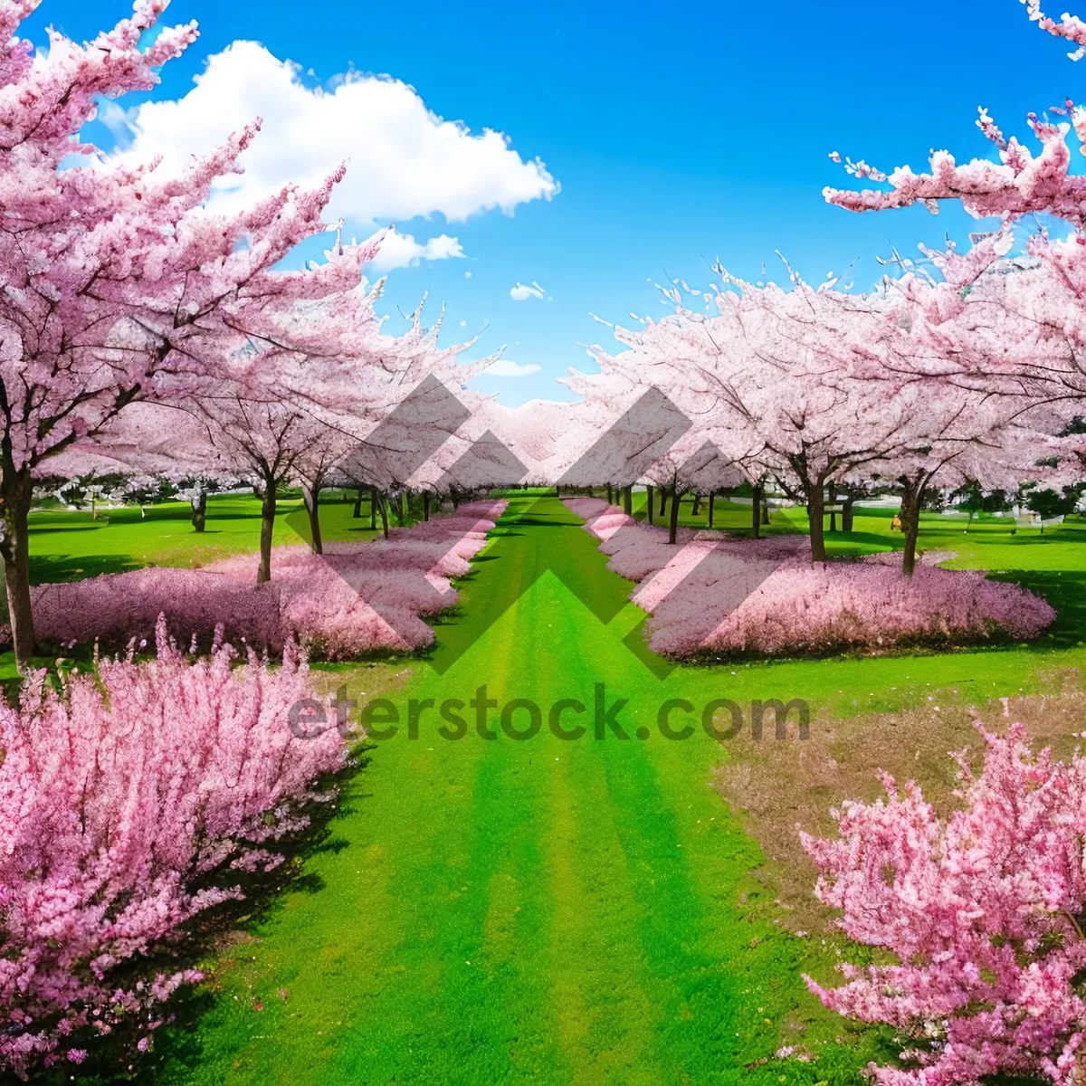 Picture of Vibrant Summer Sky over Colorful Meadow