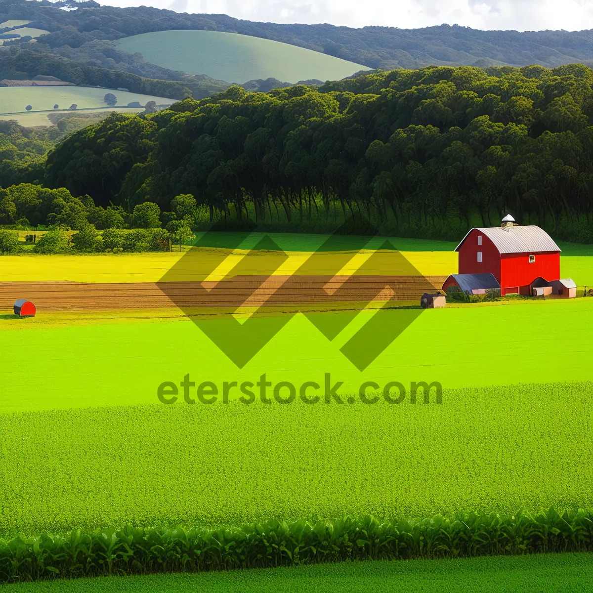 Picture of Vibrant Summer Meadow under Clear Blue Sky