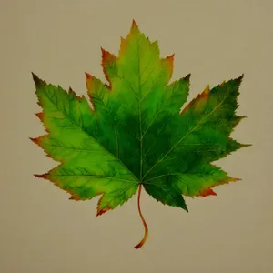 Vibrant Autumn Maple Leaf Branch Decoration