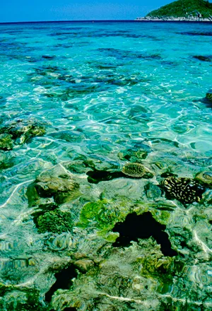 Tropical Paradise Beach with Turquoise Water and Sunny Sky. The colors and crystal clear water of the archipelago of the Similan Islands National Park, Thailand, Asia