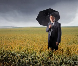 Farmer working in sunny wheat field under cloudy sky