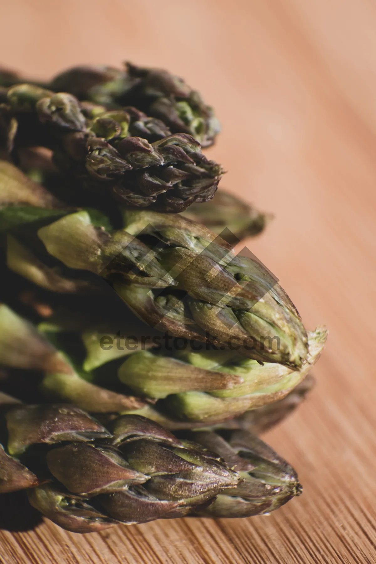 Picture of Healthy Organic Asparagus Tea Plant Herb Ingredient Closeup