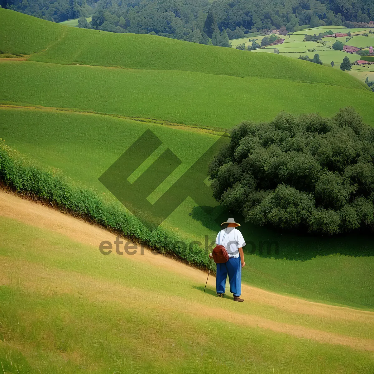 Picture of Vibrant summer view of a rural football stadium surrounded by lush green grass