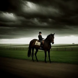 Thoroughbred Stallion in Rural Ranch Setting