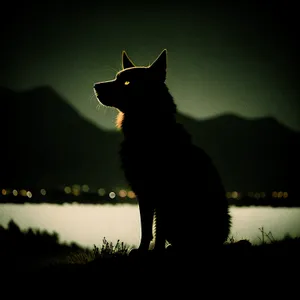 Silhouette of Black Shepherd Dog at Sunset