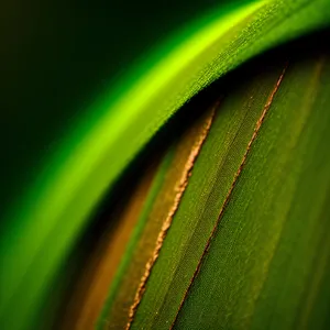 Vibrant Agave Leaf: Desert-inspired Fractal Art