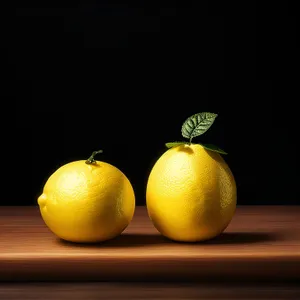 Fresh Citrus Fruits on Leafy Background - Healthy Eating