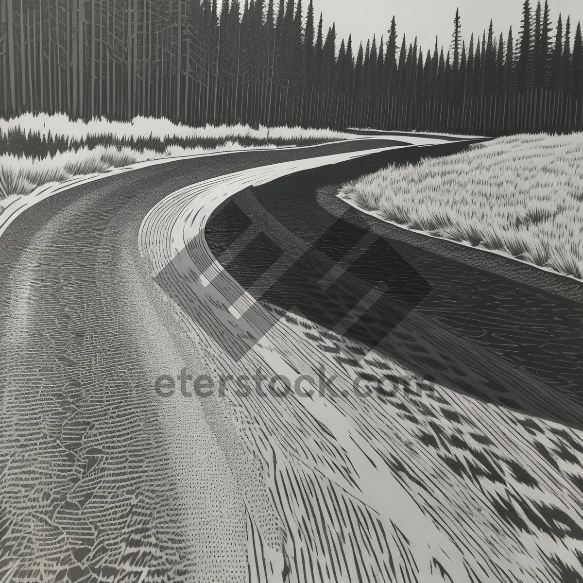 Picture of Winter Wonderland: Scenic Road Amidst Snowy Landscape