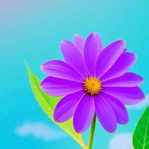 Vibrant Blooming Sunflower in Summer Garden