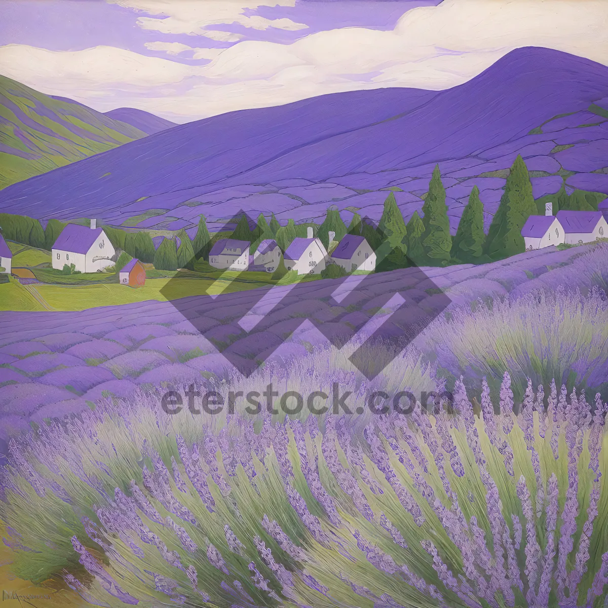 Picture of Serene Lavender Fields in Bloom