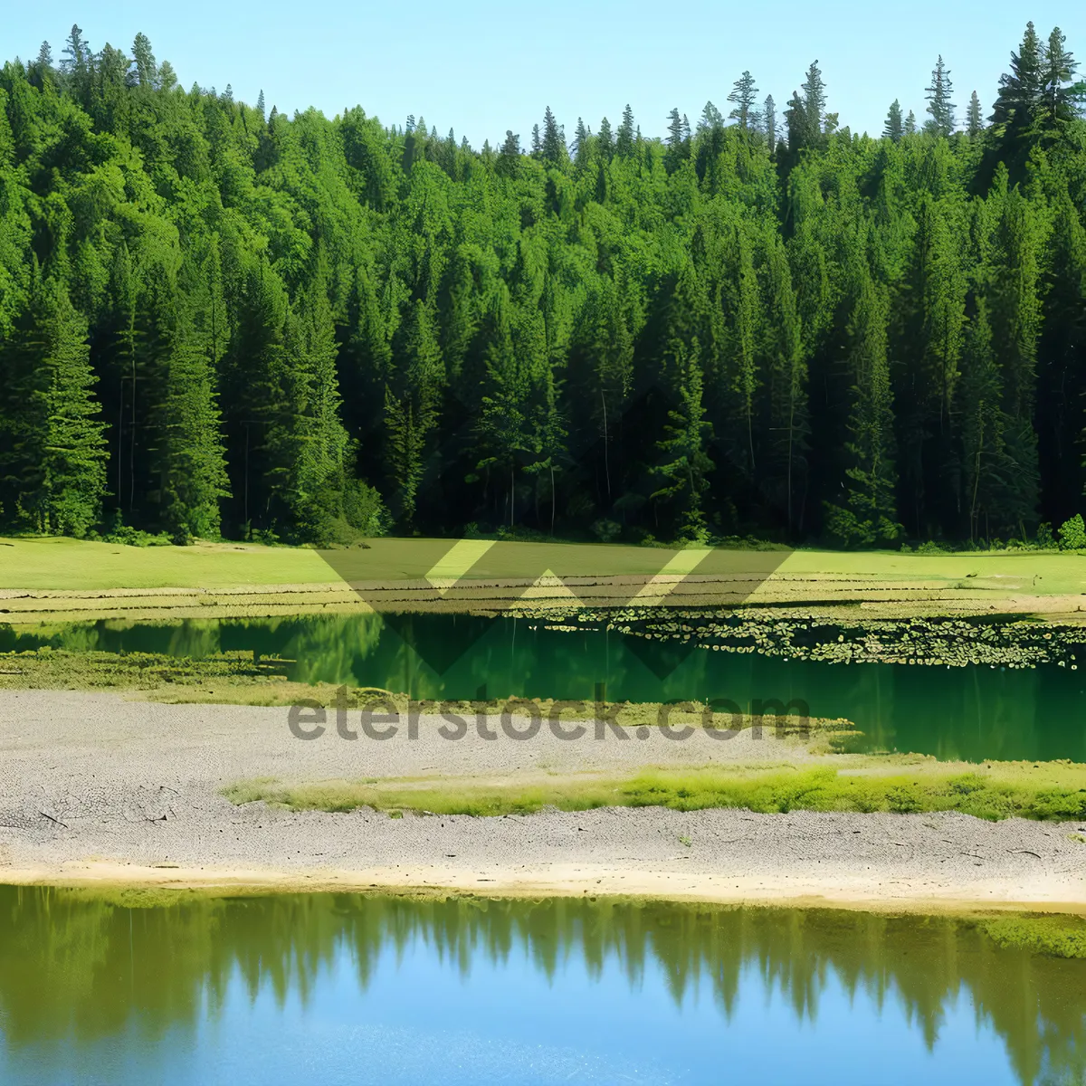 Picture of Tranquil Waterside Retreat: Rice-field Reflections in a Park