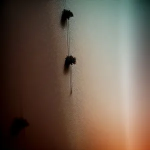 Serenity: Insect Silhouette at Sunset