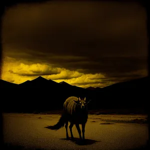 Golden Horizon: Majestic Horse Silhouette at Beach