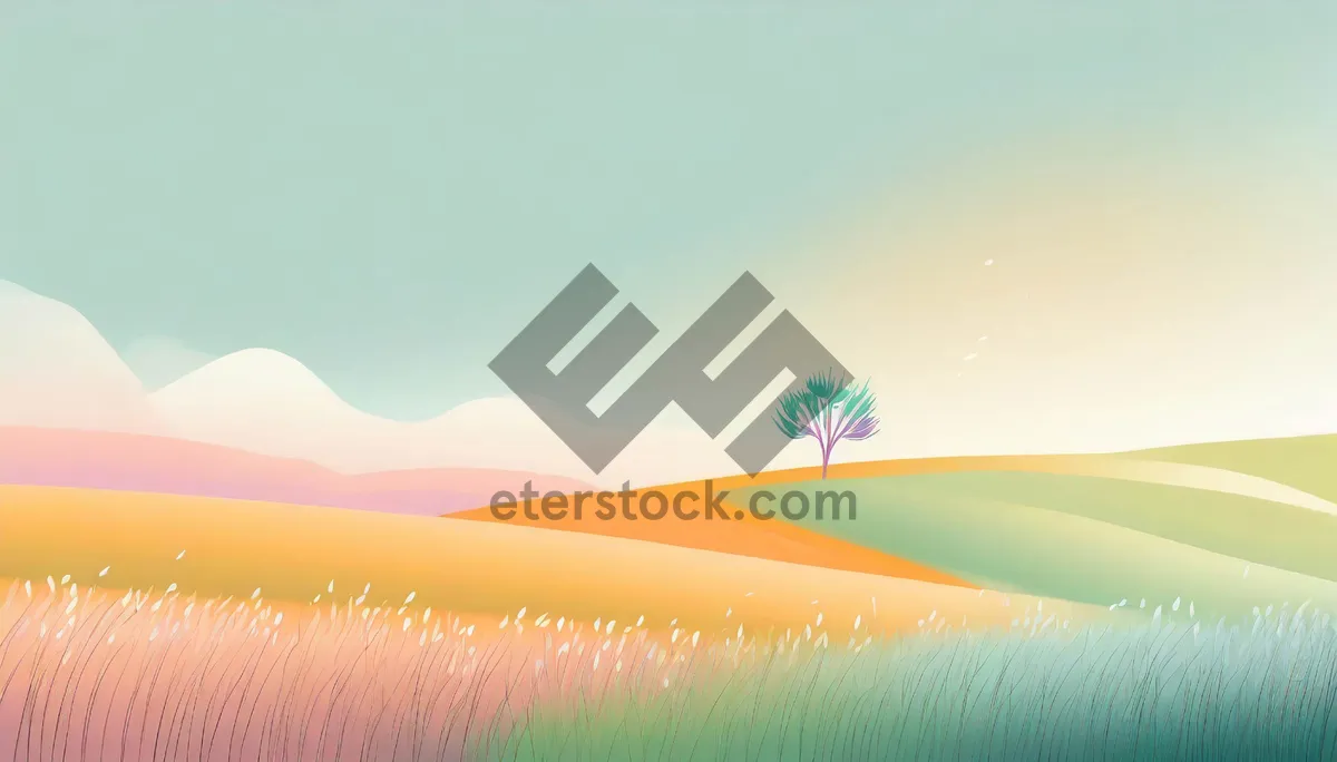 Picture of Sunny Summer Sky Over Meadow Landscape.