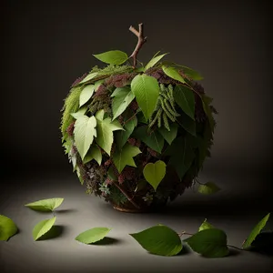 Fresh Leafy Green Tea Plant on Branch