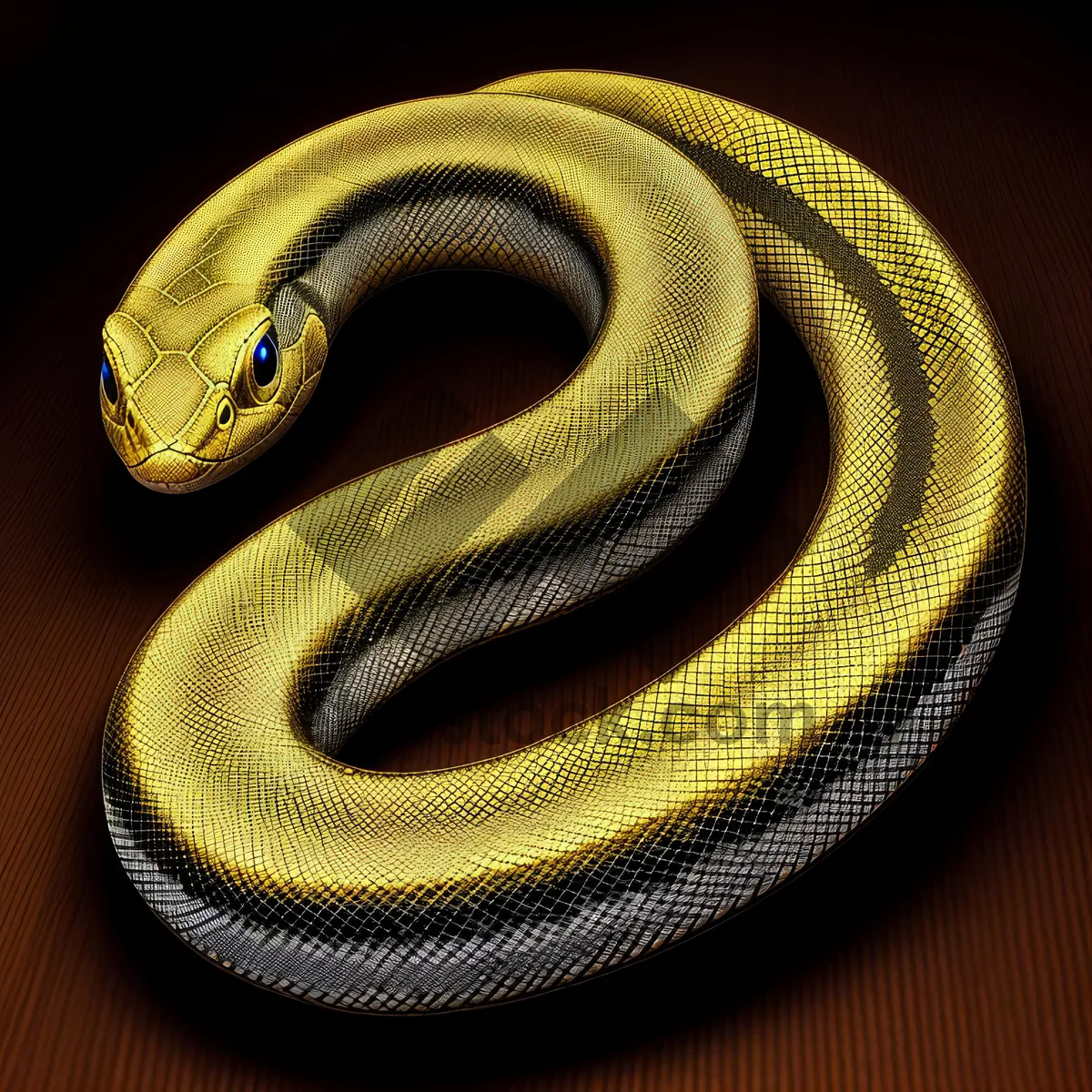 Picture of Night Snake - Deadly Reptile Slithering in the Wild