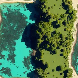 Underwater Coral Reef with Colorful Fish