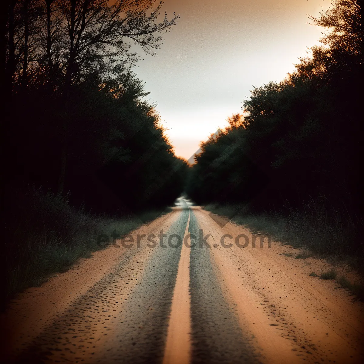 Picture of Sunset Drive on Open Road: Fast, Blurred Landscape