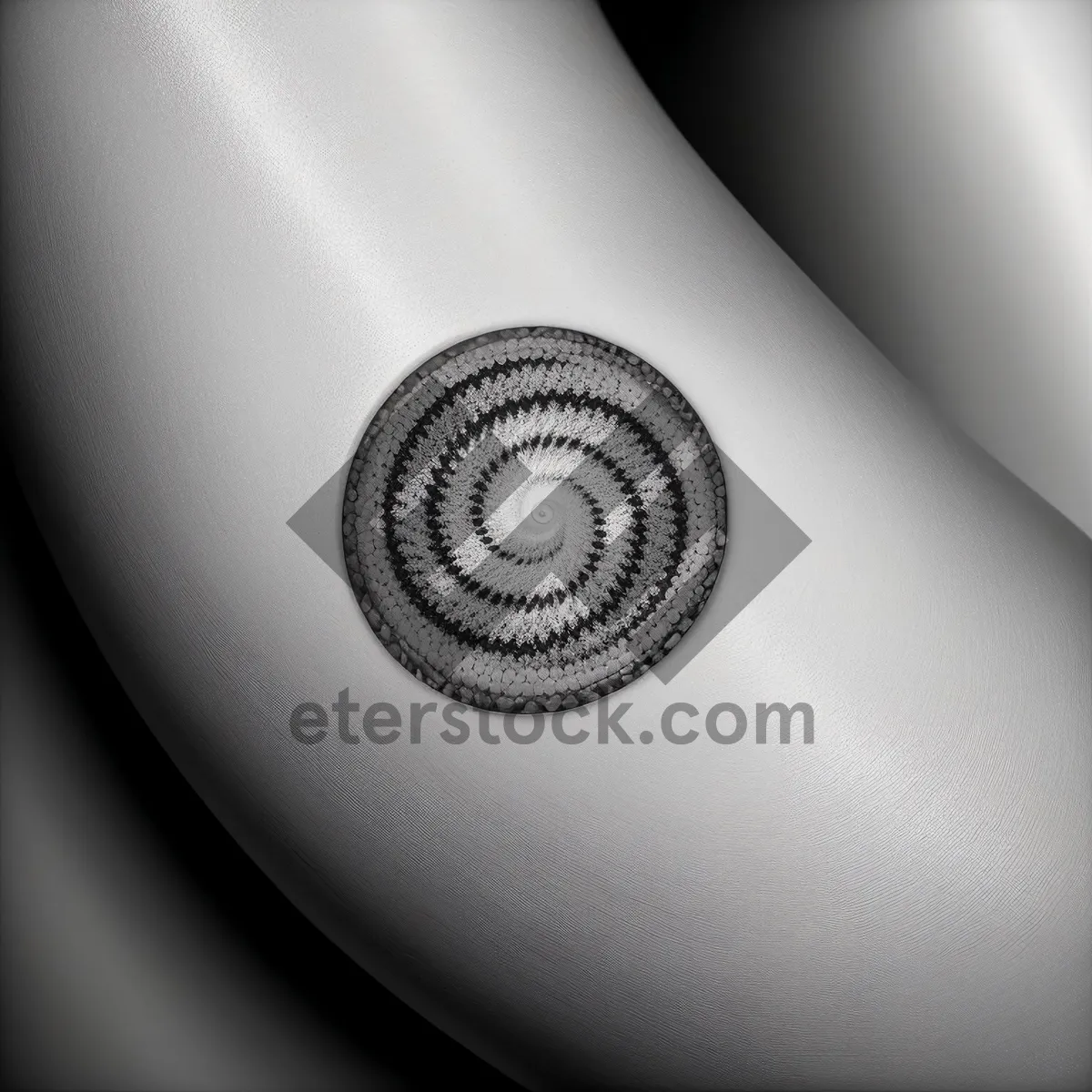 Picture of Bangle-Design Nautilus: Mollusk-inspired Digital Chamber