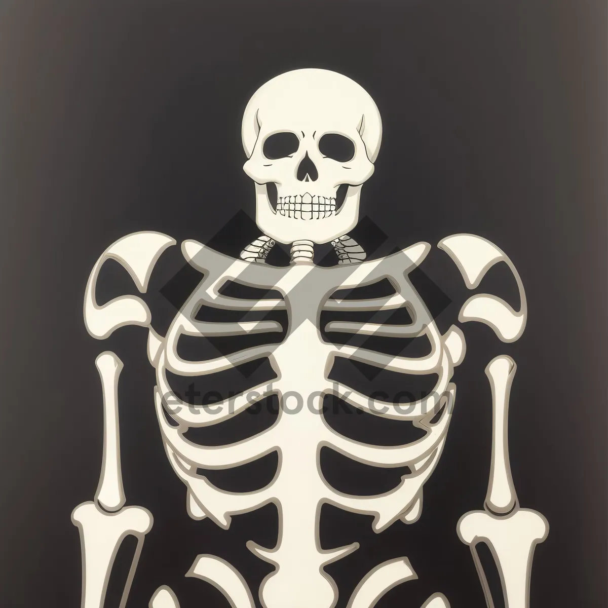 Picture of Cartoon Anatomy: 3D Plaything Skeleton Toy