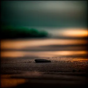 Radiant Seascape: Reflections of Sunrise on Beach