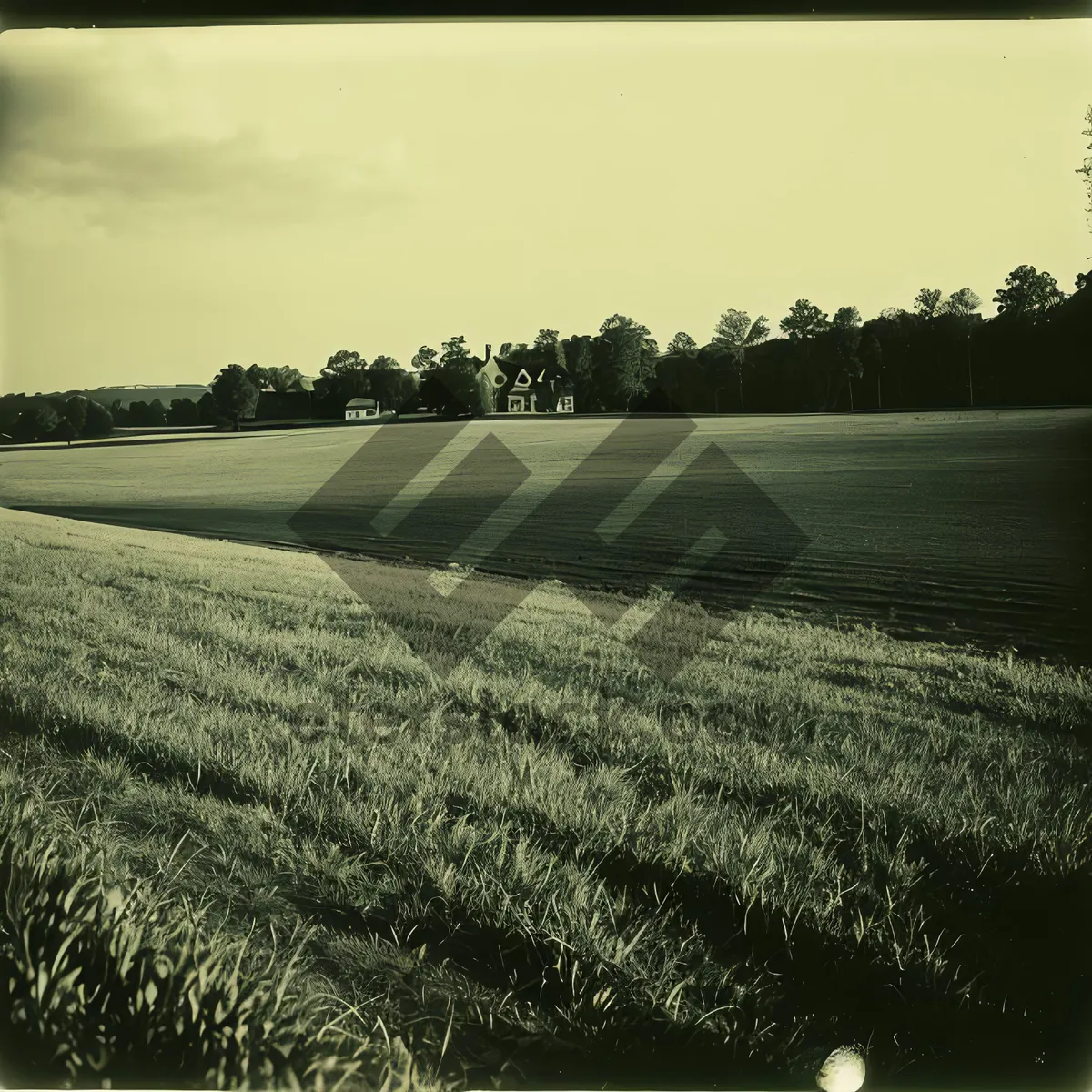 Picture of Serene Summer Sky over Rolling Countryside