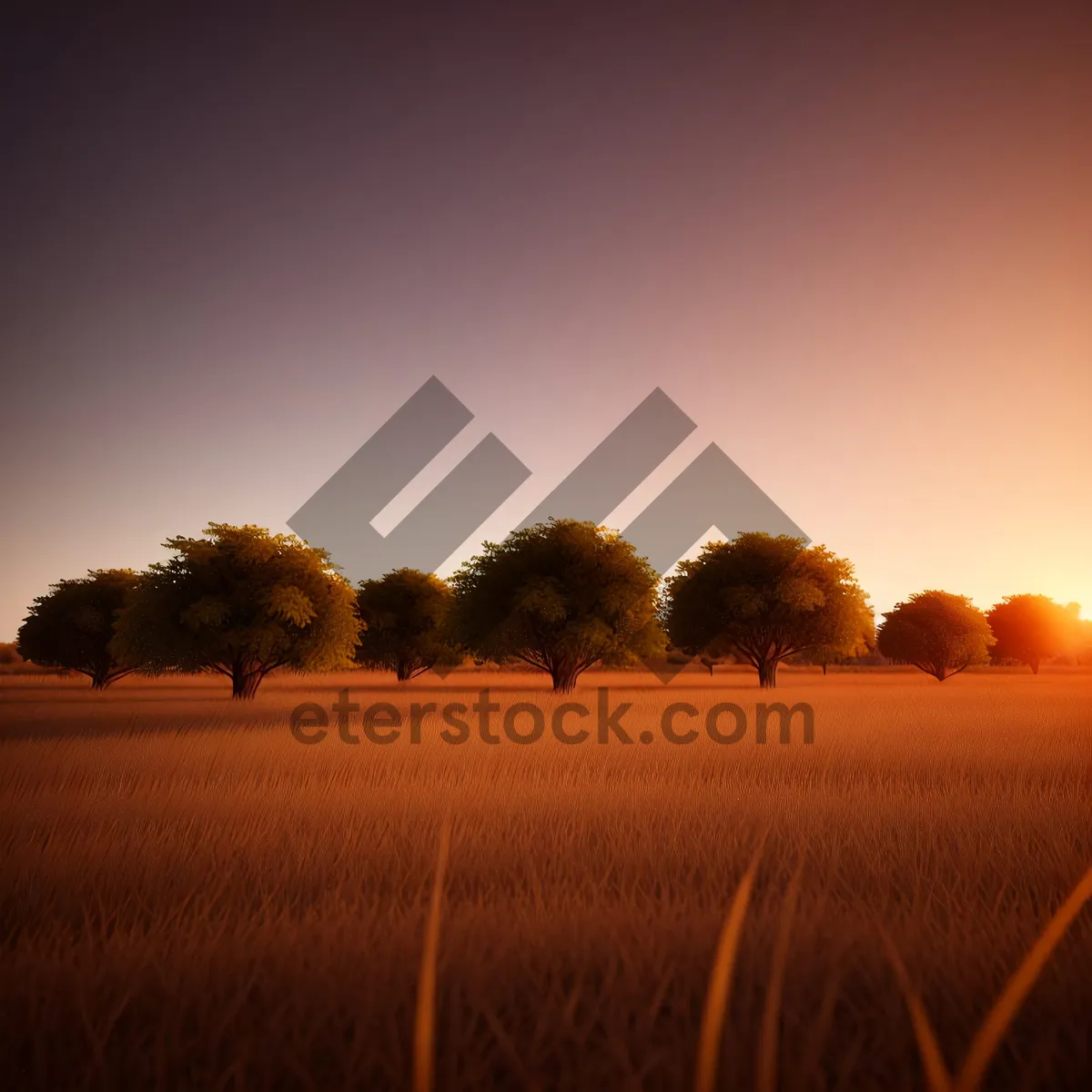 Picture of Vibrant Sunset Over Rural Meadow