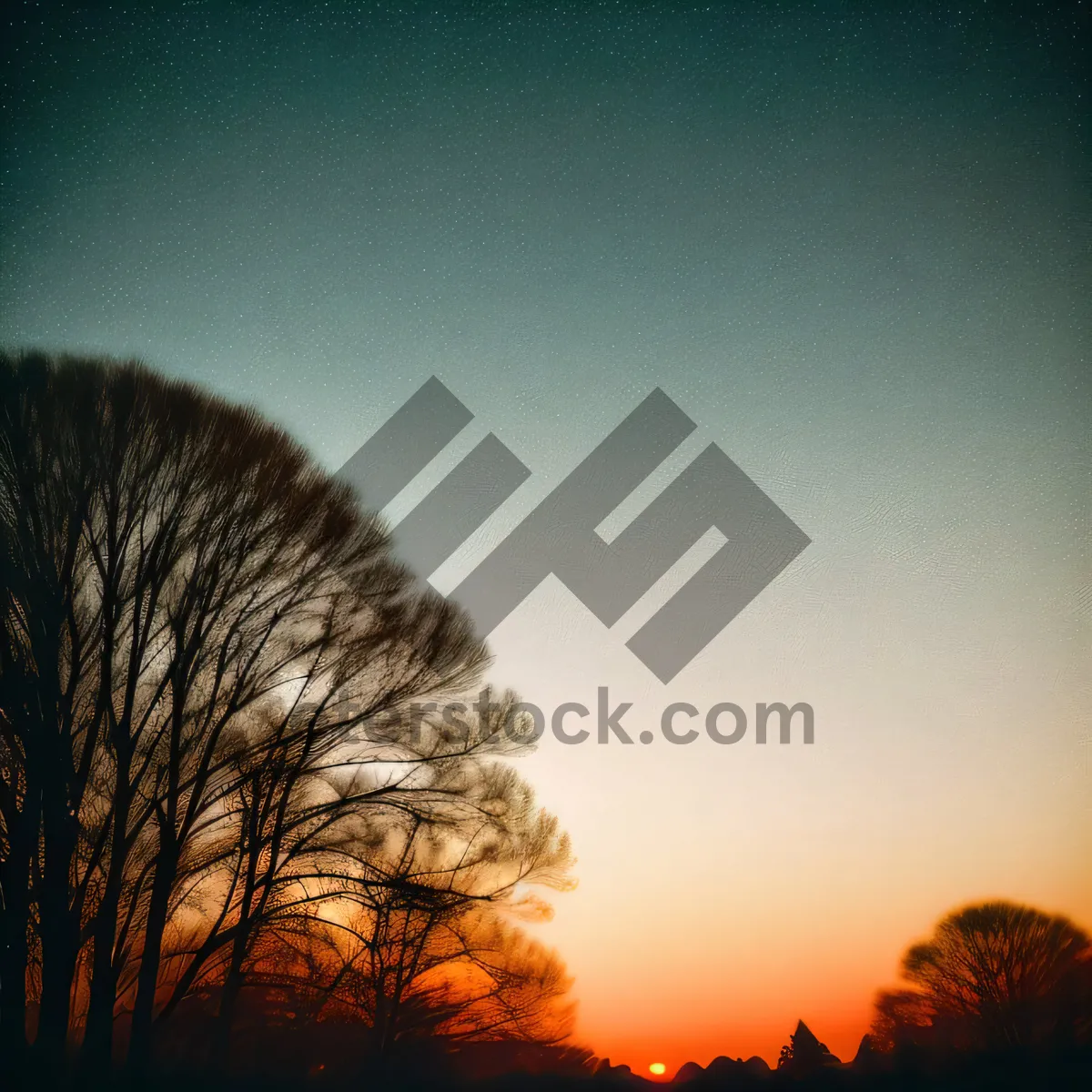 Picture of Golden Horizon: Majestic Sunset Skyline with Silhouette of Trees