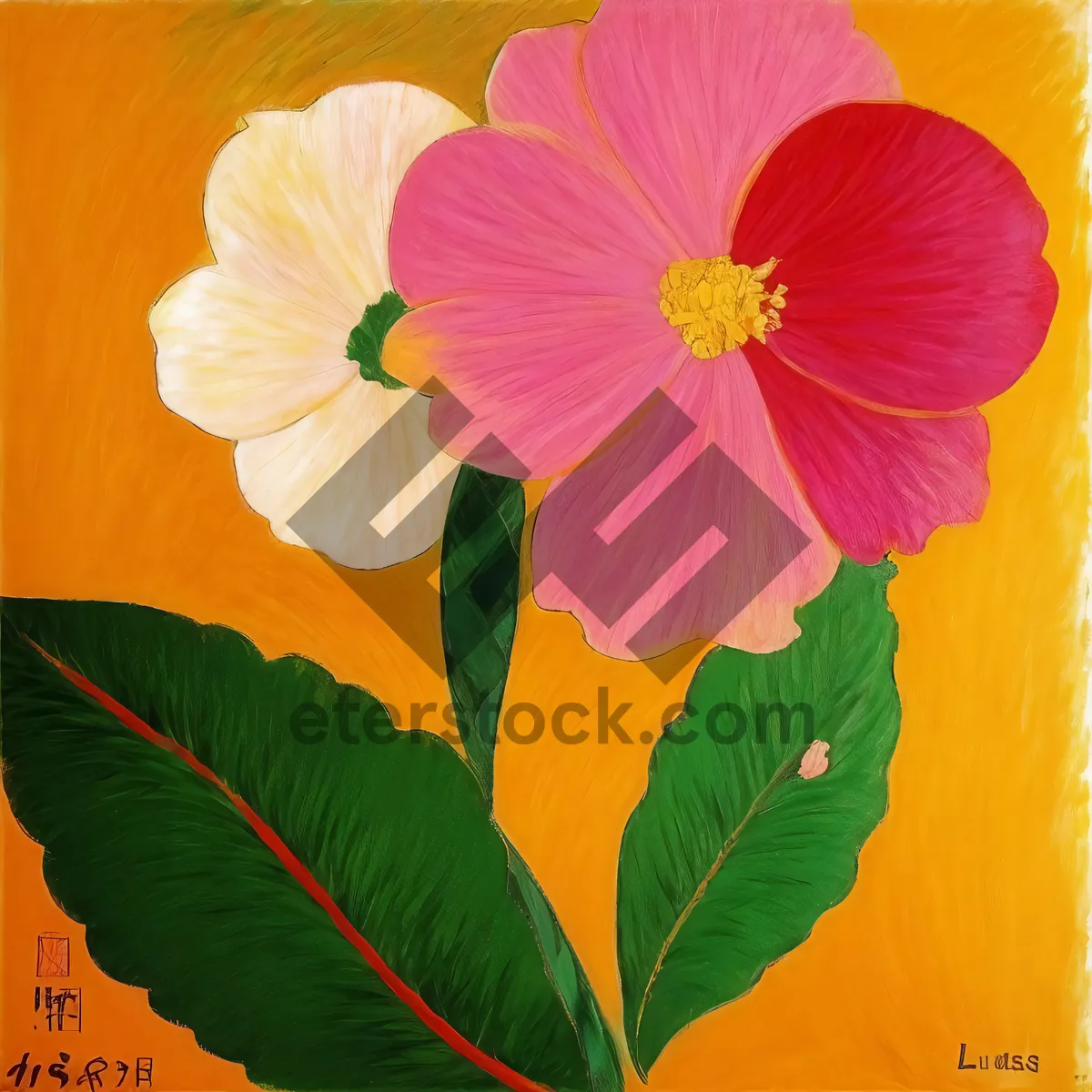 Picture of Vibrant Hibiscus Blossom in Garden