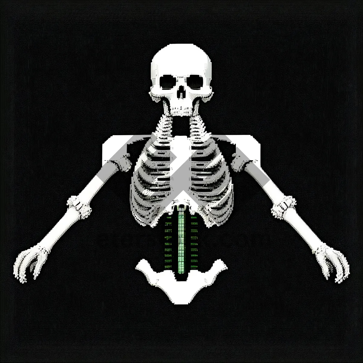 Picture of Anatomical Human Skull X-Ray - Medical Skeleton Image