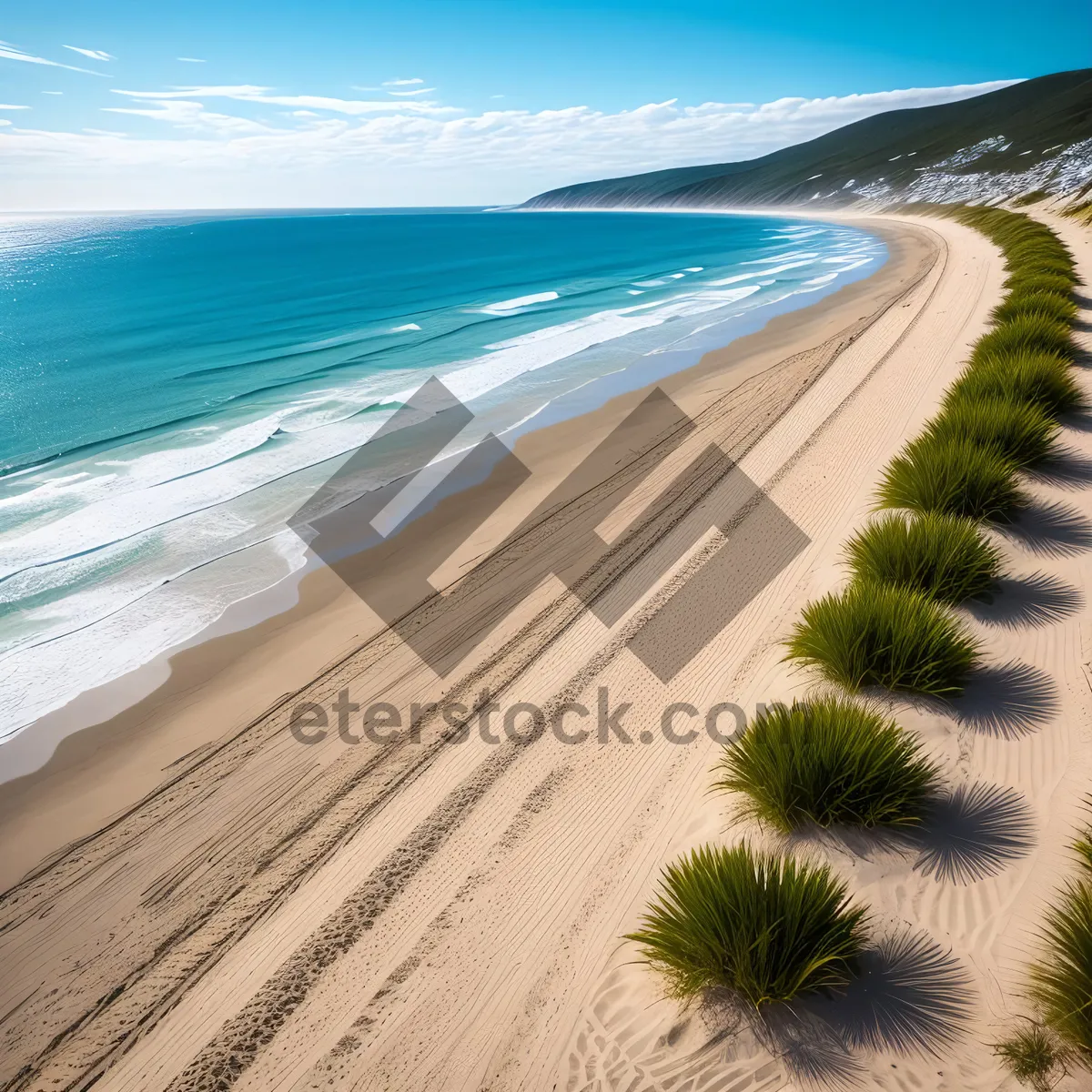 Picture of Seaside Serenity: A Tropical Oasis by the Turquoise Waters