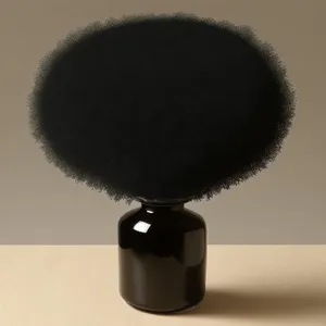 ShavingBrush_Microphone_Glass