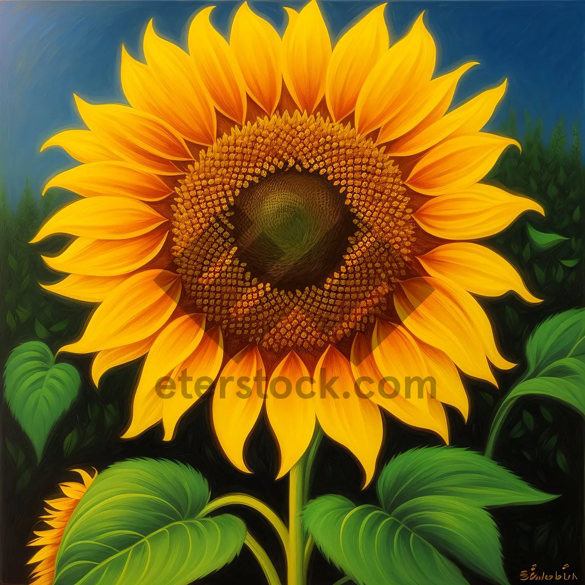 Picture of Sunflower Blossom in Vibrant Yellow Field