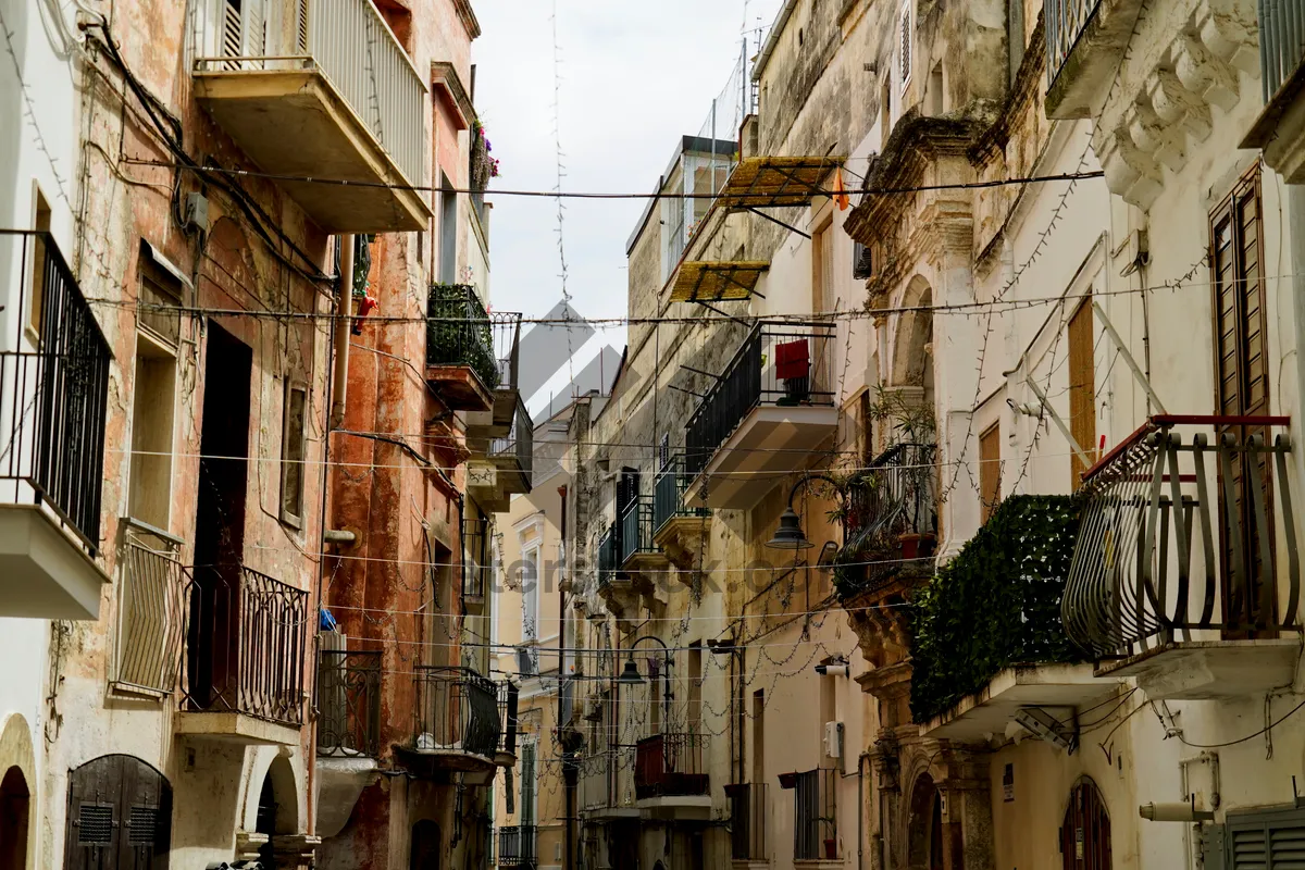 Picture of Old Town Urban Architecture Tourist Street