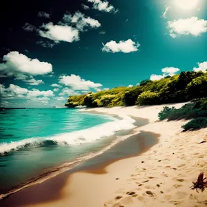 Sandy Serenity: Crystal Waters and Golden Shores
