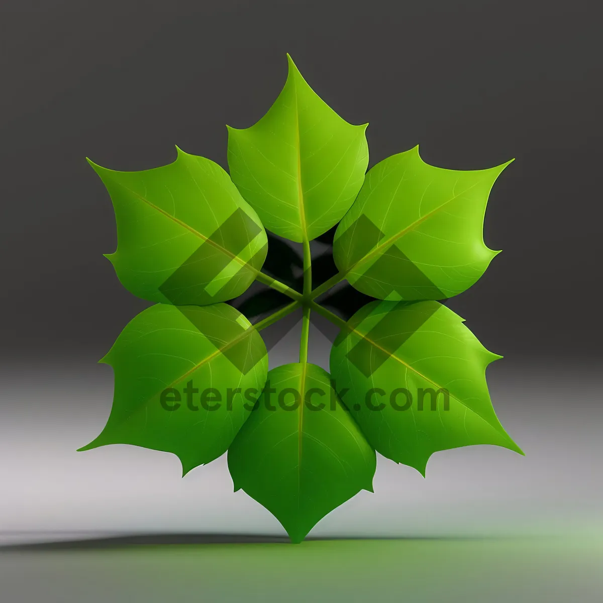 Picture of Colorful Lotus Clover Leaf Graphic Art Icon