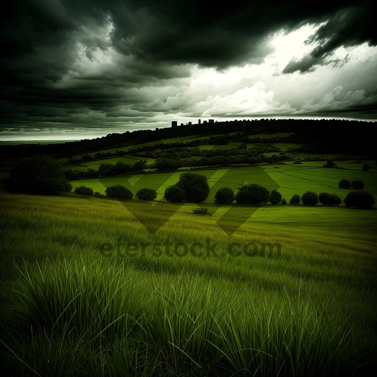 Picture of Summer Sky Over Rural Hay Field