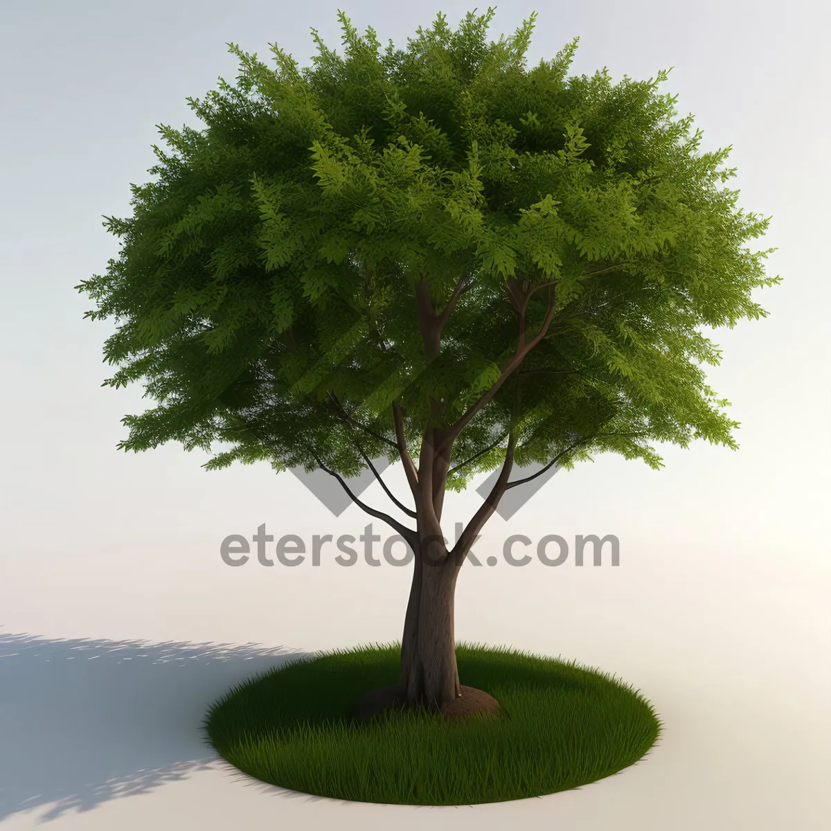 Picture of Serene Summer Oak Bonsai in Forest Landscape